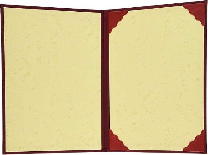 ナカバヤシ 証書ファイル 布クロス貼り(スエード調)タイプ B5判 FSS-B5-R エンジ