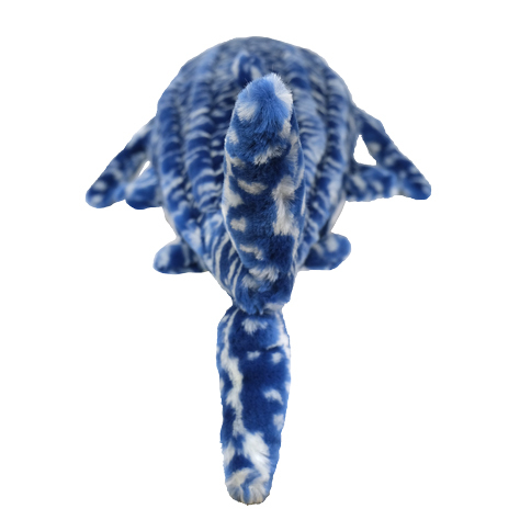 サンレモン　ひざじんべえざめ M