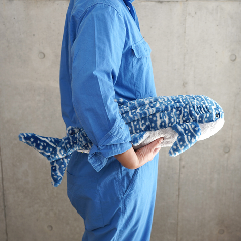 サンレモン　ひざじんべえざめ M