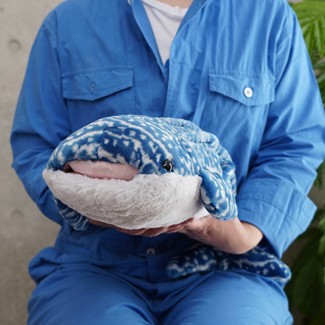 サンレモン　ひざじんべえざめ M