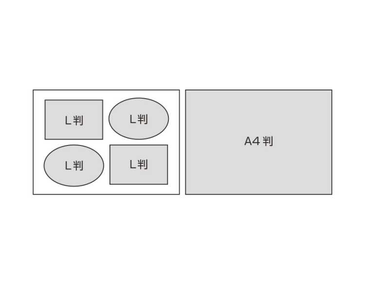 万丈　シャルムフレーム　A4多窓　DGD