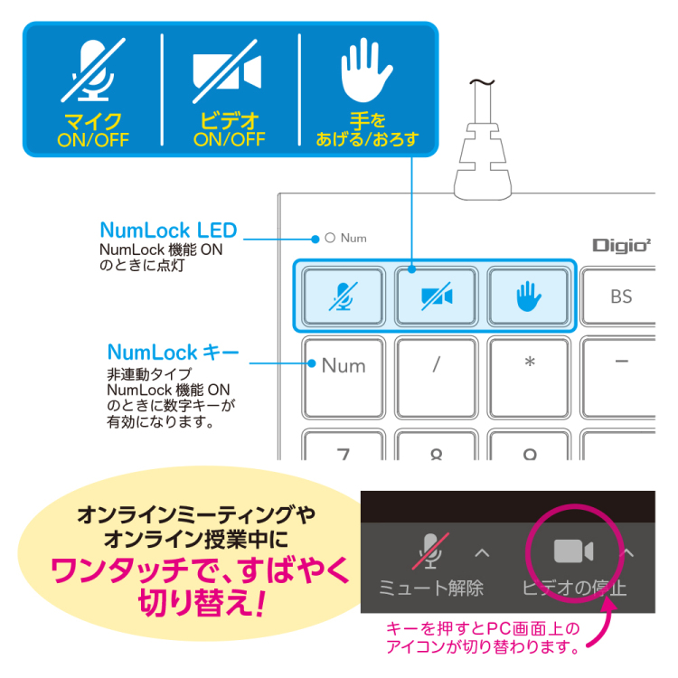 Zoom対応USB有線テンキー/ブラック TNK-SU239BK