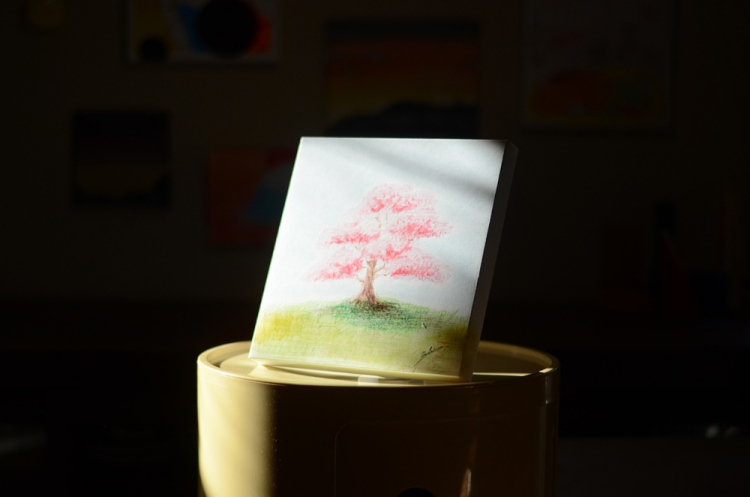 紙製組み立てキャンバス210×210mm2枚セット/ホワイト PAC-2121-2PWH