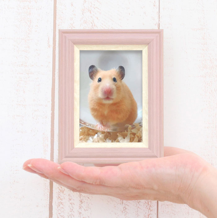 万丈 Vミニフレーム ラフィネ グレー