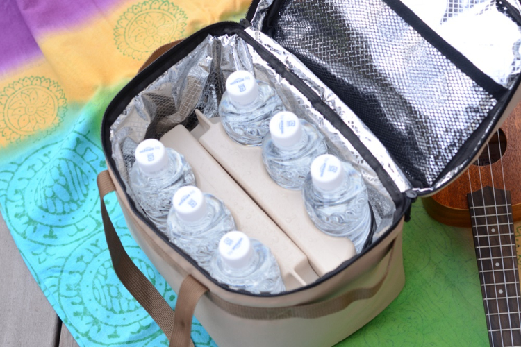 ナカバヤシ HIPPOSS ヒッポス クーラーバッグ/タン