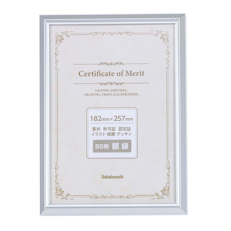 アルミ賞状額/B5判/シルバー F-SA-101-SV