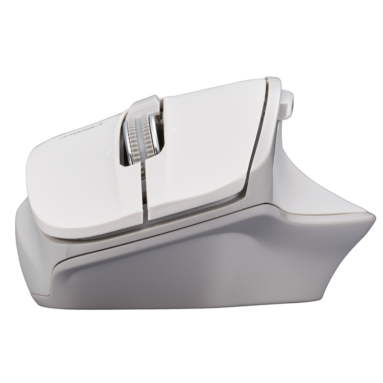 高速スクロール BT静音5ボタン BLEDマウス/グレージュ MUS-BKF165GY (tm)