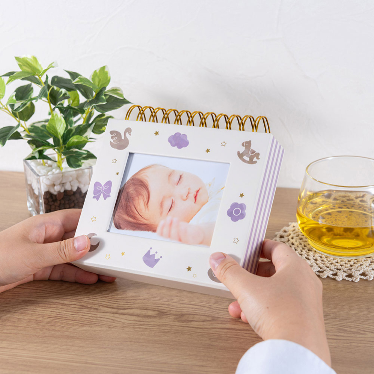 フォトランク フレームケース アルバム L/ベビーバイオレット A-FTPC-105-V