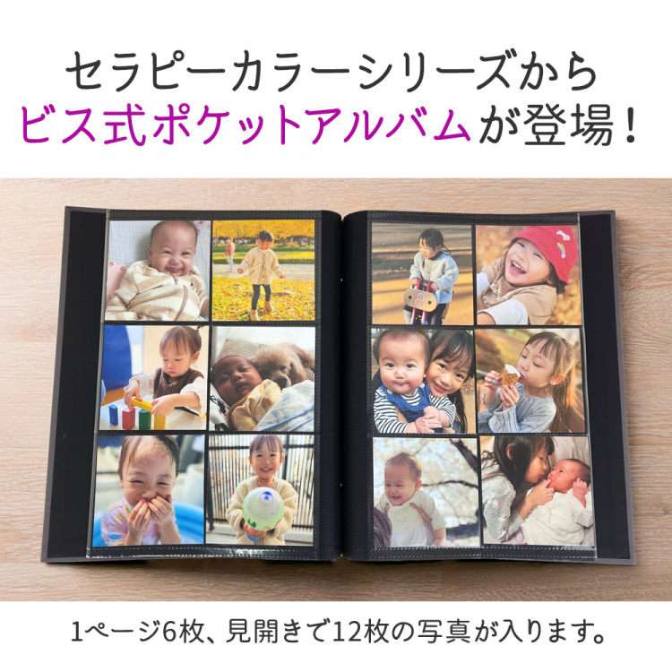 【WEB限定品】ナカバヤシ セラピーカラー ビス式 ポケットアルバム ましかく240枚収納 TCPK-BIS-6SQ-G/EC クールグレー