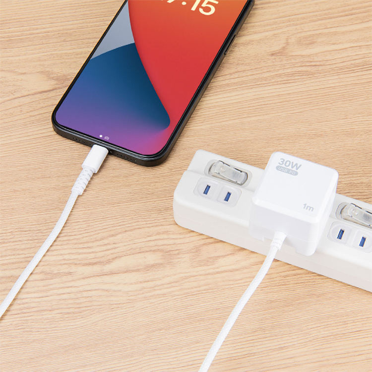 ナカバヤシ GaN 30W PD充電器 2m/白 JYU-AC0120W (tm)