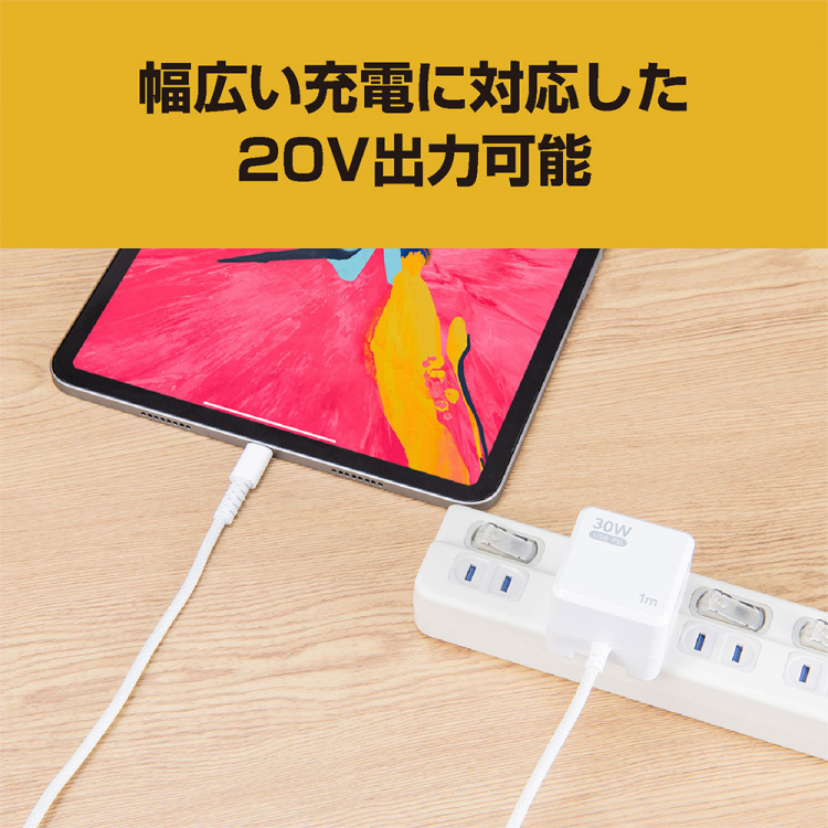 ナカバヤシ GaN 30W PD充電器 2m/白 JYU-AC0120W (tm)
