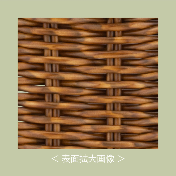 ナカバヤシ ラタンスタイルペントレー/ブラウン RSS-PT01BR