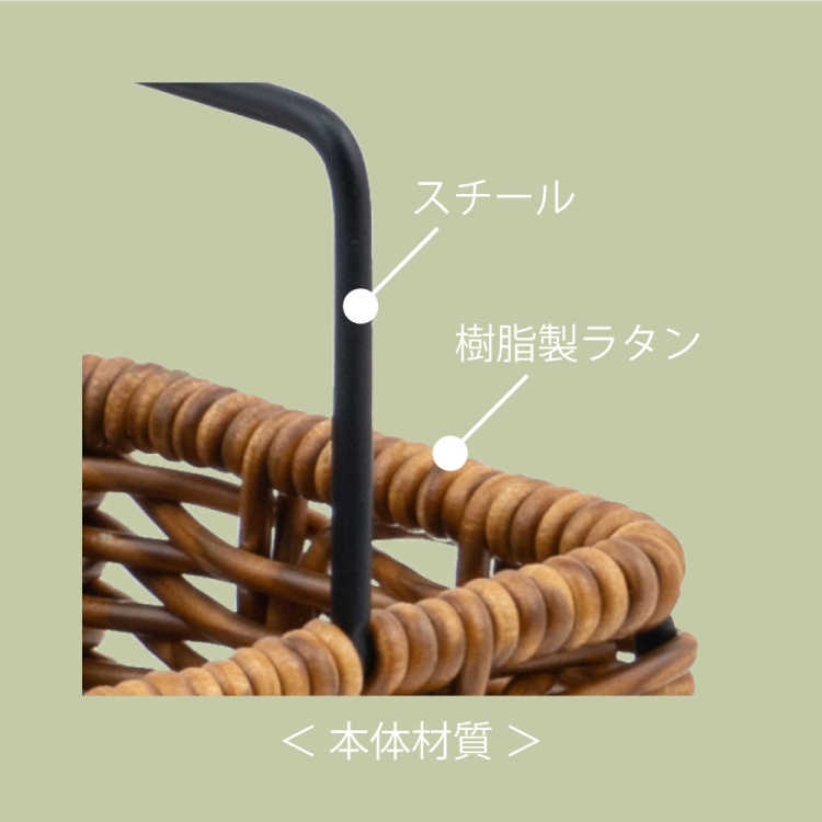 ナカバヤシ ラタンスタイルペントレー/ブラウン RSS-PT01BR