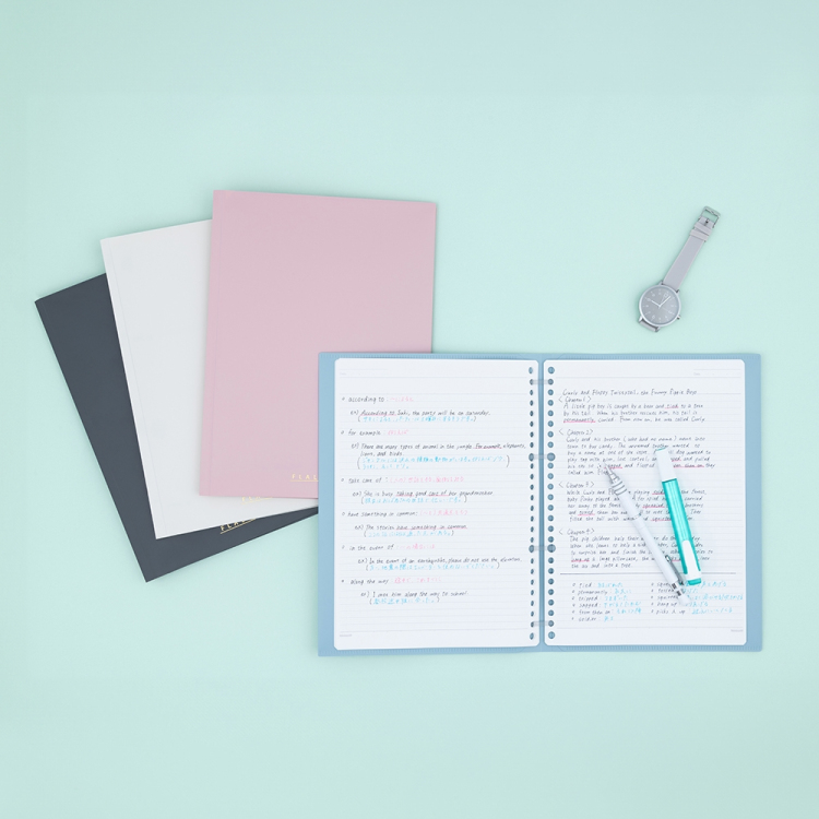 ナカバヤシ フラリーフ/ロジカル・フラットバインダーノート/B5/スモーキーブラック FLL-B501B-D