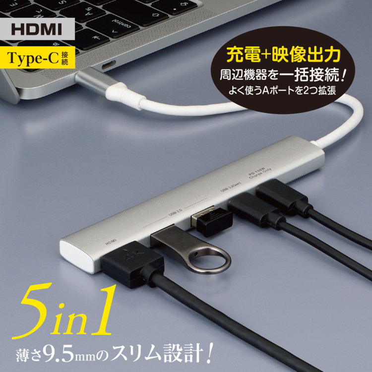 ナカバヤシ PD Type-C スリムドッキングS/シルバー UD-C10SL (tm)