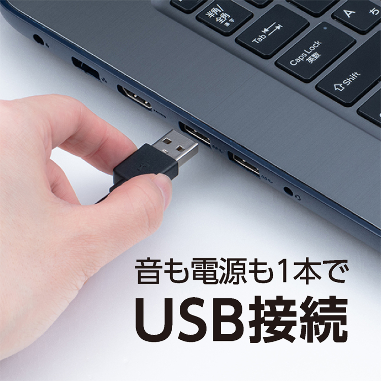 ナカバヤシ コンパクトUSBスピーカー 2.1ch/黒 USP-04BK (tm)