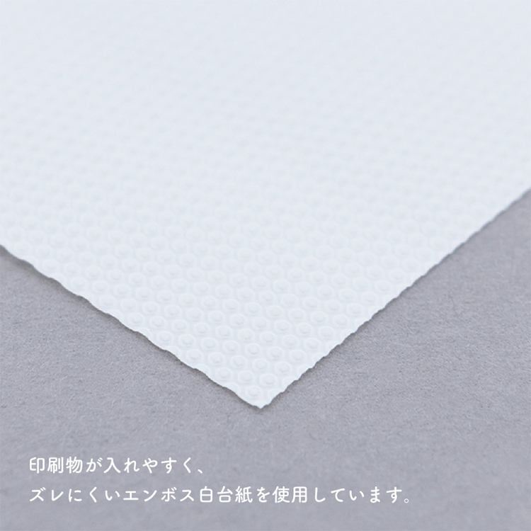 ナカバヤシ my Pick/トレカブック/A5/ブルー MP-CB9050B