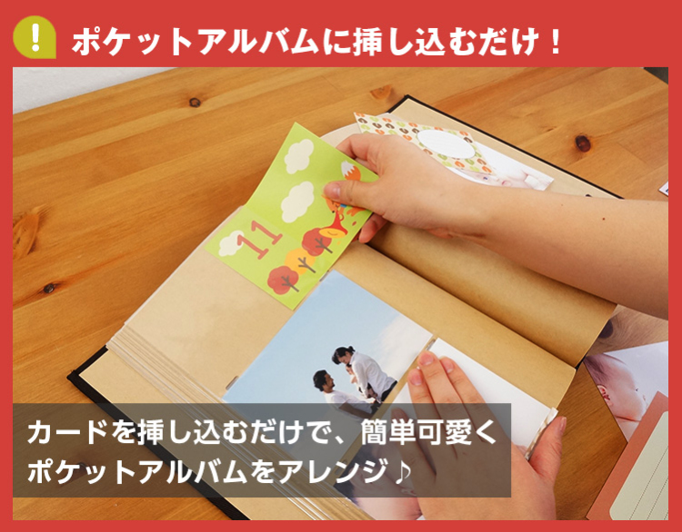 【WEB限定品】ナカバヤシ マンスリー デザインポケットカード IT-DPCM-L【ポスト投函1】