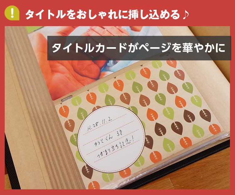 【WEB限定品】ナカバヤシ マンスリー デザインポケットカード IT-DPCM-L【ポスト投函1】