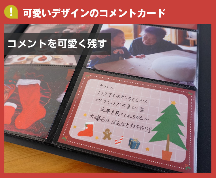 【WEB限定品】ナカバヤシ マンスリー デザインポケットカード IT-DPCM-L【ポスト投函1】