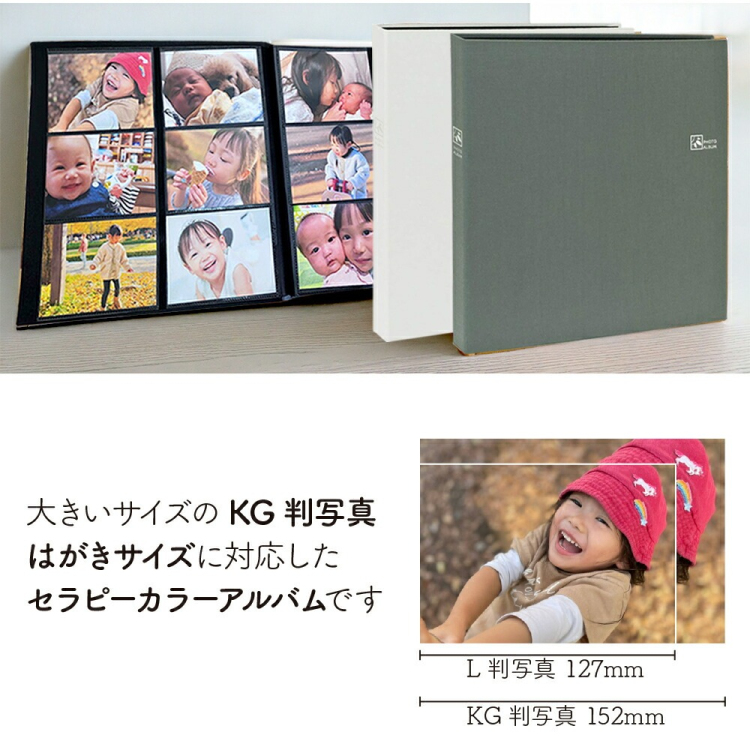 【WEB限定品】ナカバヤシ セラピーカラー KG判 6面ポケットアルバム 2列×3段タイプ KG判240枚収納 TCPK-6KG-240-CG クールグレー