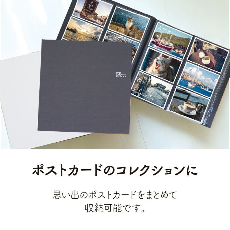 【WEB限定品】ナカバヤシ セラピーカラー KG判 6面ポケットアルバム 2列×3段タイプ KG判240枚収納 TCPK-6KG-240-CG クールグレー