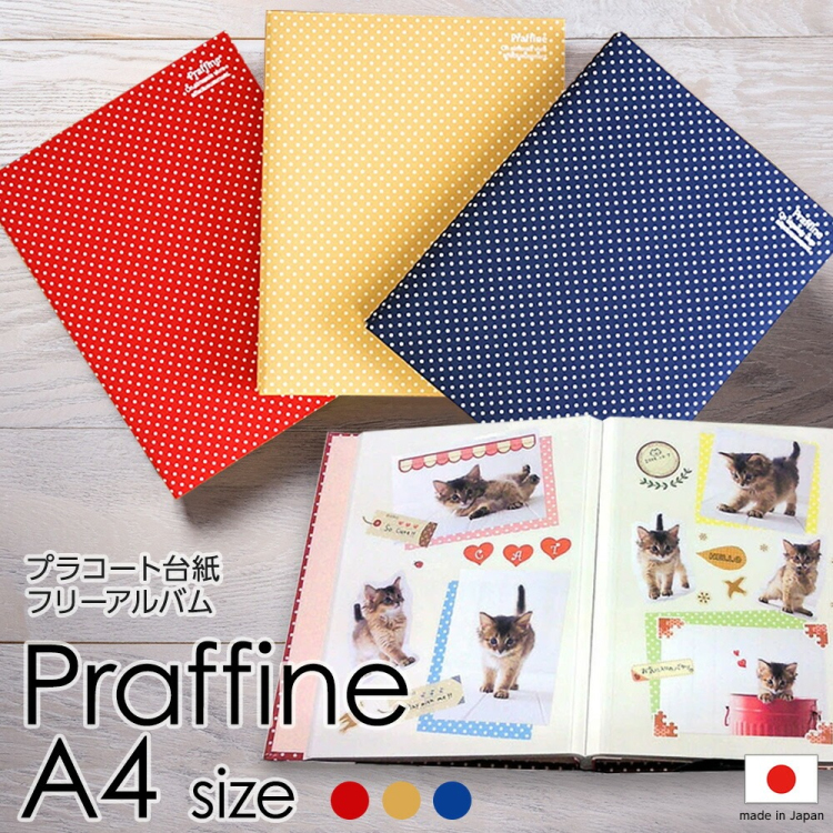 ナカバヤシ  Praffine【プラフィーネ】A4 ア-A4P-164-Rレッド