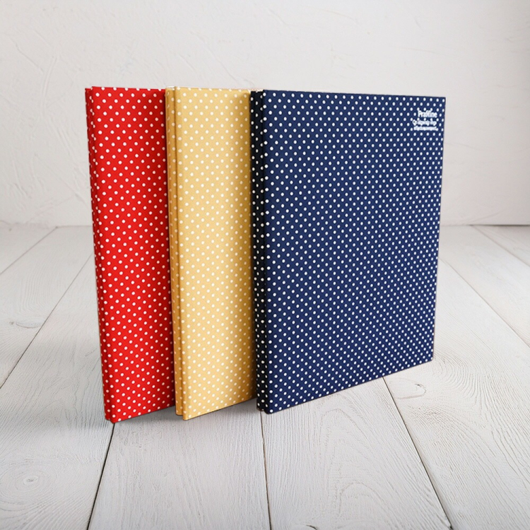 ナカバヤシ  Praffine【プラフィーネ】A4 ア-A4P-164-Rレッド