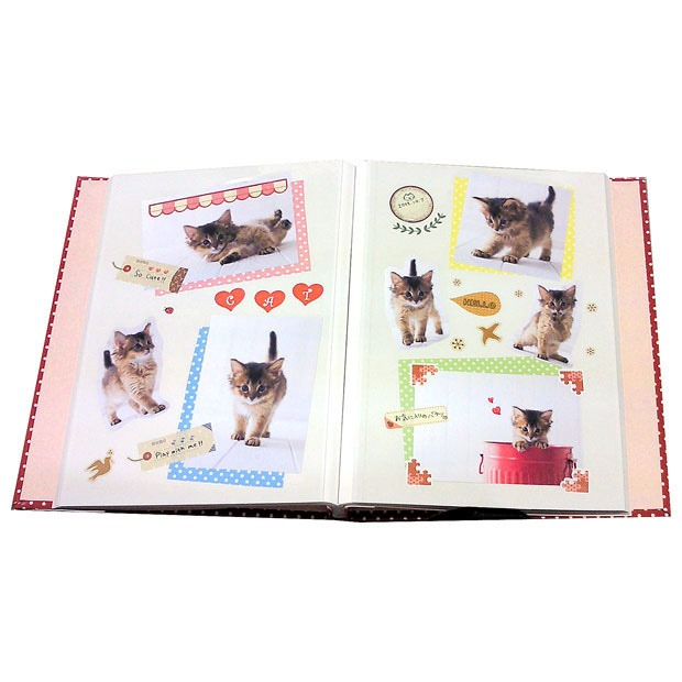 ナカバヤシ  Praffine【プラフィーネ】A4 ア-A4P-164-Rレッド