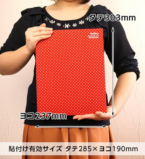 ナカバヤシ  Praffine【プラフィーネ】A4 ア-A4P-164-Rレッド