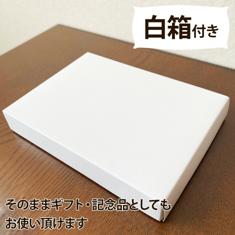 ナカバヤシ アクリルマグネットフレーム / フォトフレーム 2L判 フ-ACM-2Lの商品画像5枚目