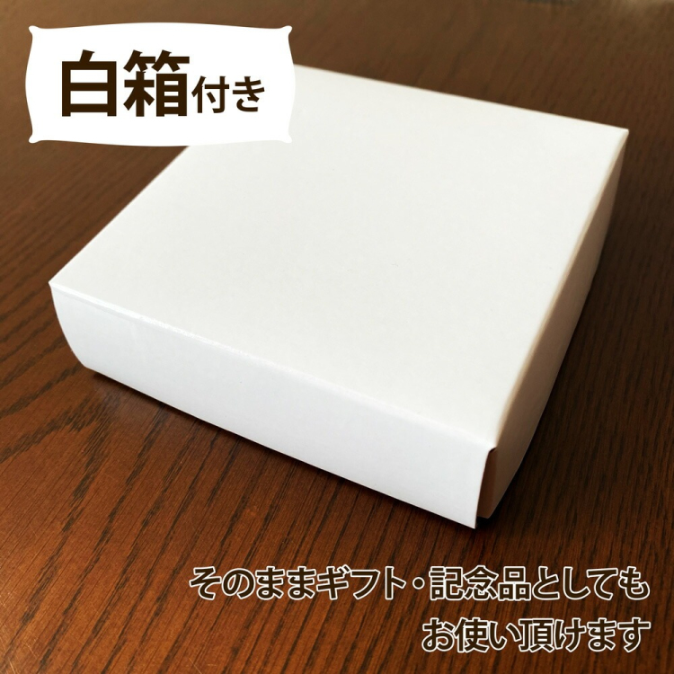 ナカバヤシ アクリルマグネットフレーム / フォトフレーム ましかく89判 フ-ACM-89の商品画像5枚目