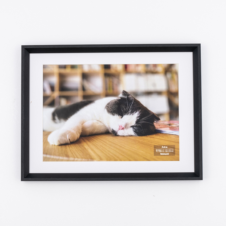 ナカバヤシ 木製写真額／Ａ４／ブラック F-SW-121-D