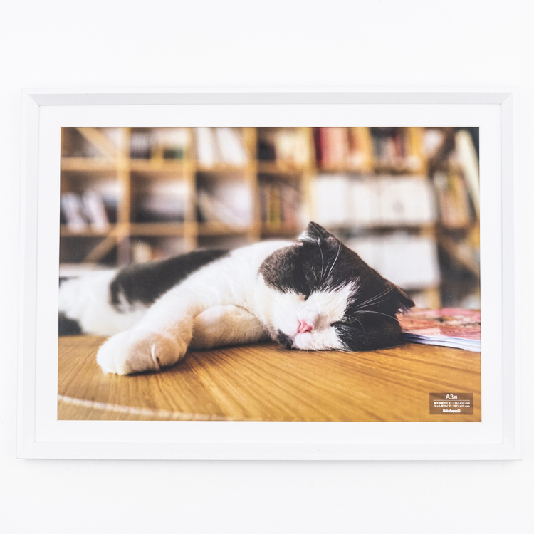 ナカバヤシ 木製写真額／Ａ３／ホワイト F-SW-124-W