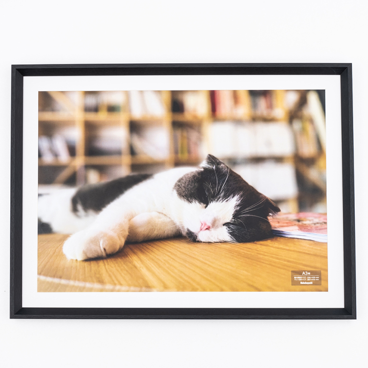 ナカバヤシ 木製写真額／Ａ３／ブラック F-SW-124-D