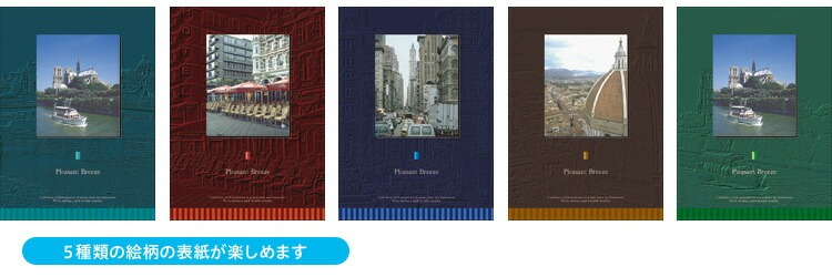 【アルバムの日記念特価】アルバム ポケット式 ナカバヤシ 5冊BOXポケットアルバム / L判360枚 プレゼント・ブリーズ 5PL-360-105の商品画像4枚目