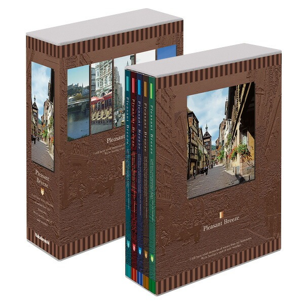 アルバム ポケット式 ナカバヤシ 5冊BOXポケットアルバム / L判360枚 プレゼント・ブリーズ 5PL-360-105