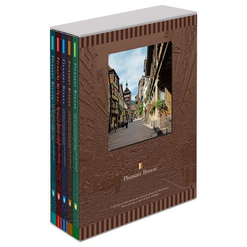 【アルバムの日記念特価】アルバム ポケット式 ナカバヤシ 5冊BOXポケットアルバム / L判360枚 プレゼント・ブリーズ 5PL-360-105の商品画像2枚目