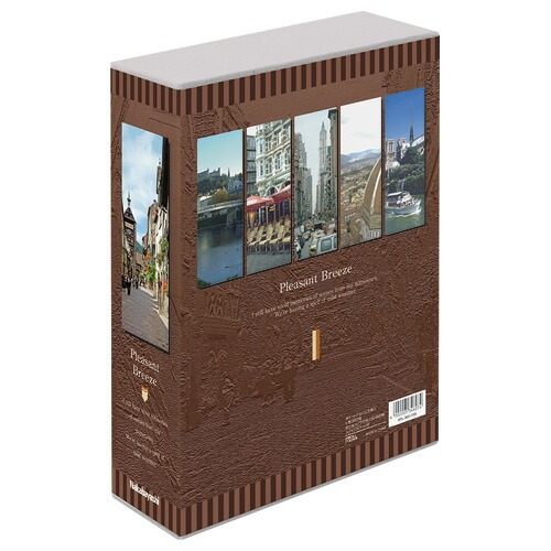 【アルバムの日記念特価】アルバム ポケット式 ナカバヤシ 5冊BOXポケットアルバム / L判360枚 プレゼント・ブリーズ 5PL-360-105の商品画像3枚目