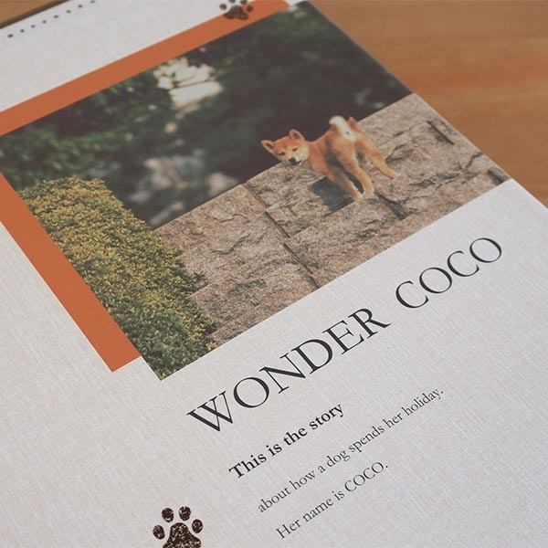 【アルバムの日記念特価】ナカバヤシ 5冊BOXポケットアルバム / L判480枚 ワンダーココ 5PL-480-2の商品画像4枚目