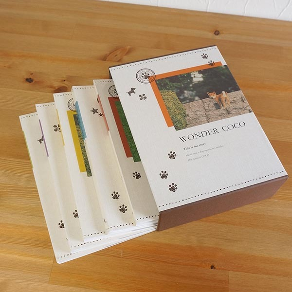 【アルバムの日記念特価】ナカバヤシ 5冊BOXポケットアルバム / L判480枚 ワンダーココ 5PL-480-2の商品画像5枚目