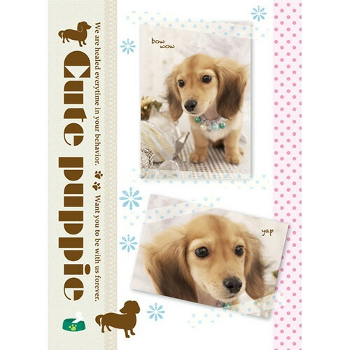 ナカバヤシ 3冊ボックス ポケットアルバム 3PL-183A キュートパピーの商品画像2枚目