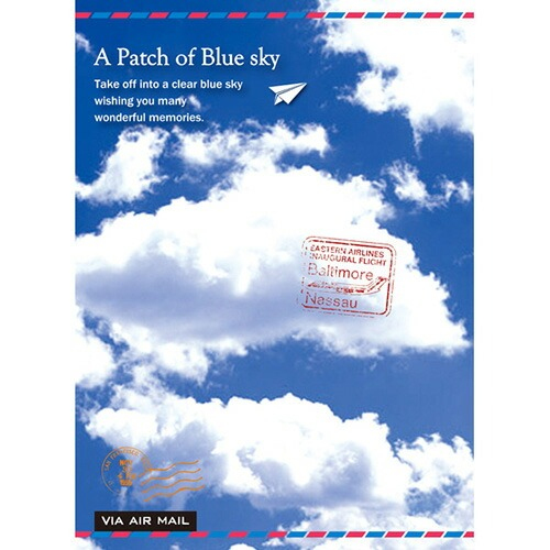 【アルバムの日記念特価】ナカバヤシ 3冊ボックス ポケットアルバム 3PL-180-3/M アパッチオブブルースカイの商品画像2枚目