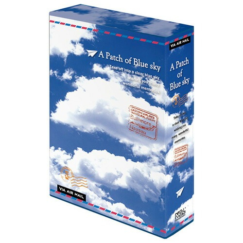 ナカバヤシ 3冊ボックス ポケットアルバム 3PL-180-3/M アパッチオブブルースカイ