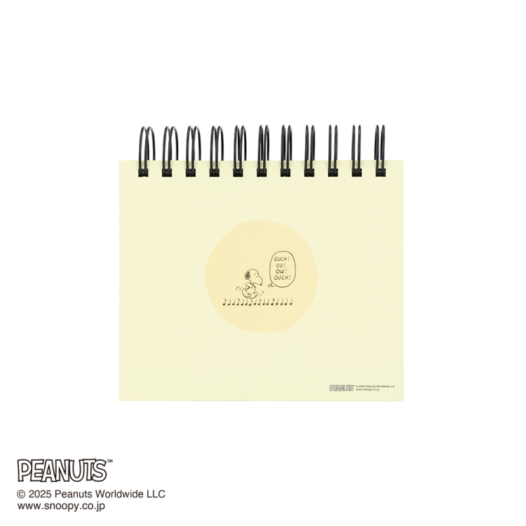 【アルバムの日記念特価】ナカバヤシ フォトランク フレームケースL ピーナッツ スヌーピー ブルー A-FTPC-209-1の商品画像5枚目