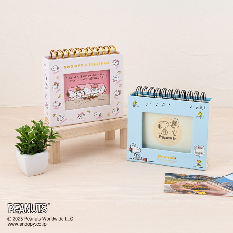 【アルバムの日記念特価】ナカバヤシ フォトランク フレームケースL ピーナッツ スヌーピー ベージュ A-FTPC-209-2の商品画像14枚目