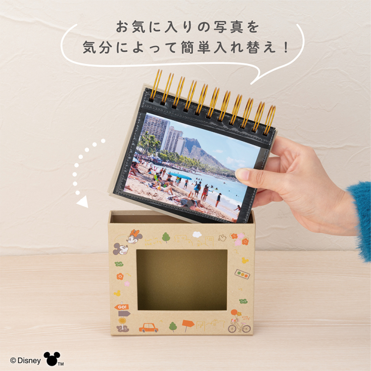 【アルバムの日記念特価】ナカバヤシ フォトランク フレームケースL ディズニー ミッキー&ミニー A-FTPC-211-1の商品画像11枚目