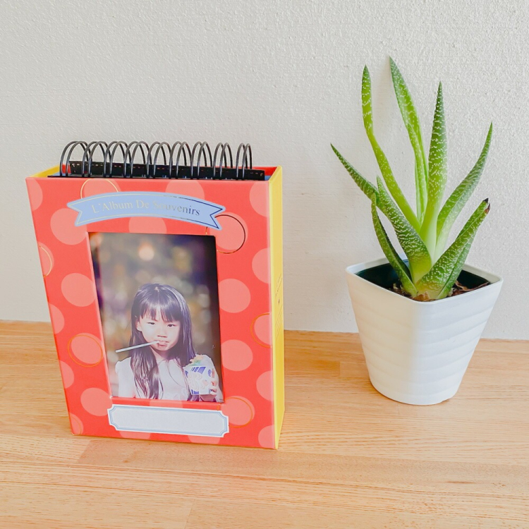 【アルバムの日記念特価】アルバム ナカバヤシ フォトランク フレームケースアルバム タテ型 L判1段60枚 ポケットアルバム A-FTPT-301-R レッドの商品画像14枚目