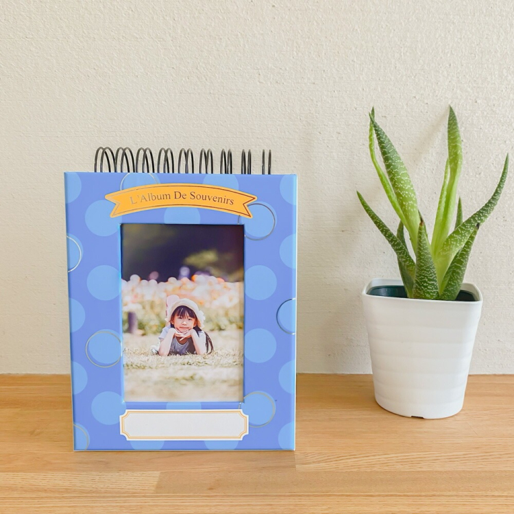 【アルバムの日記念特価】アルバム ナカバヤシ フォトランク フレームケースアルバム タテ型 L判1段60枚 ポケットアルバム A-FTPT-301-B ブルーの商品画像12枚目