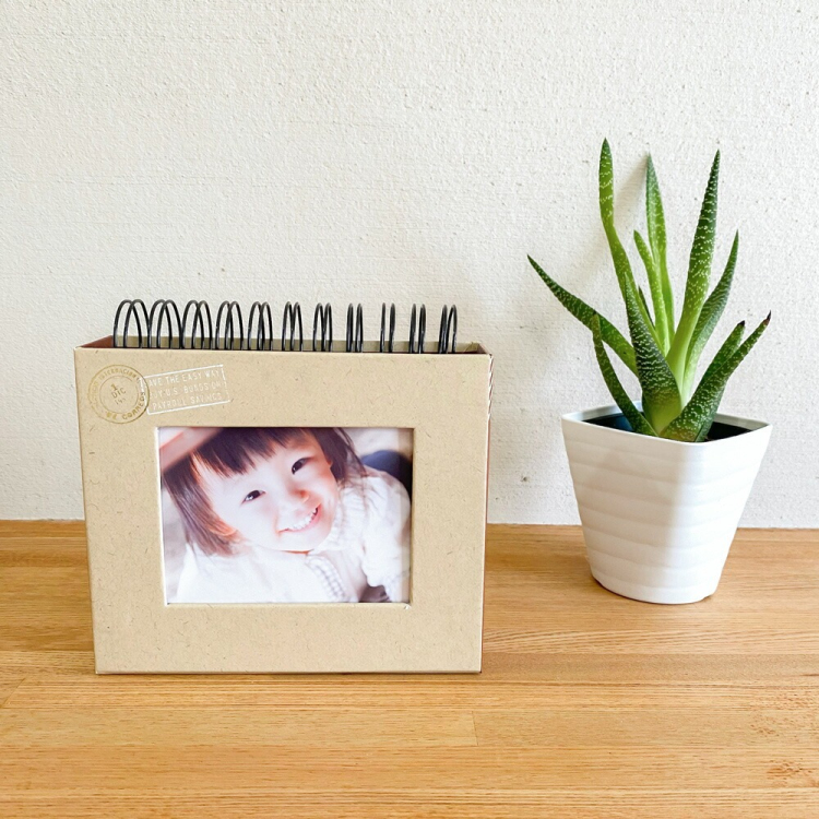 アルバム ナカバヤシ フォトランク フレームケースアルバム L判1段60枚 ポケットアルバム A-FTPC-102-BR ブラウンの商品画像14枚目